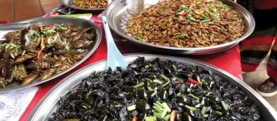 Plats à base d’insectes Cambodge: Que manger au Cambodge?