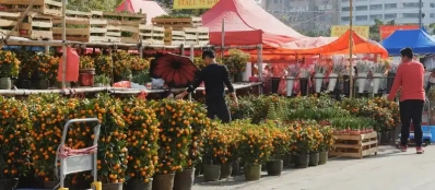 Pourquoi voyager au Vietnam pendant le Nouvel An lunaire?