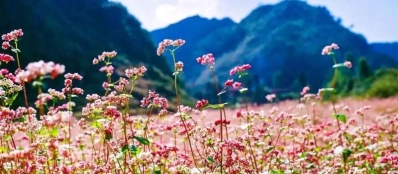 Quand partir au Vietnam ? Les meilleures périodes