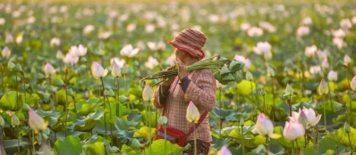 Quand partir en voyage au Vietnam Cambodge et Laos le moins cher?