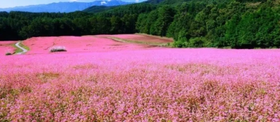 Quand réserver un voyage Vietnam en famille, séjour avec parents?