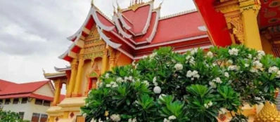 Que visiter lors du voyage sur mesure au Laos Agence voyage locale