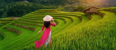 Quels sont vos centres d'intérêt pour une découverte du Vietnam