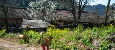 Raisons de visiter Ha Giang en 2024 | Sites incontournables du Vietnam