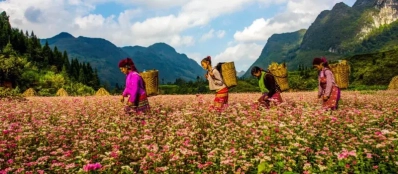 Top 10 des choses à faire à Ha Giang en 2024 | Circuit au Vietnam