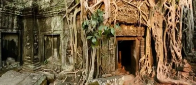 Top meilleures choses à faire pour voyage au Cambodge Agence voyage locale