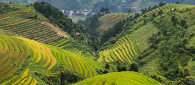 Vietnam en octobre: Climat, météo et conseils de voyage [2025 - 2026]