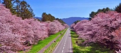 Visite Da Lat en janvier (printemps) | Voyage sur mesure au Vietnam