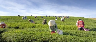 Vivre un voyage au Vietnam sur mesure authentique et exceptionnel