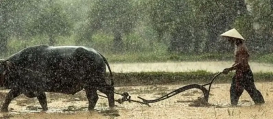 Voyage au Laos pendant la saison des pluies