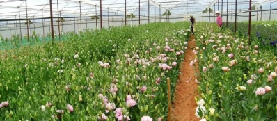 Voyage de luxe au Vietnam pour visiter des jardins et fermes biologiques