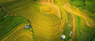 Voyage Mu Cang Chai: Les meilleurs lieux et conseils pour photographier