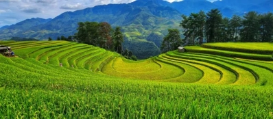 Voyage Mu Cang Chai Vietnam - Le paradis des rizières en terrasses