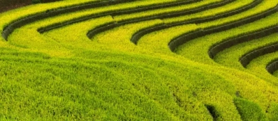 Voyage nature au Vietnam: rizières en terrasse et montagnes brumeuses du Nord