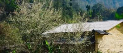 Voyager avec un Guide francophone au Vietnam pour visiter village Pho Bang