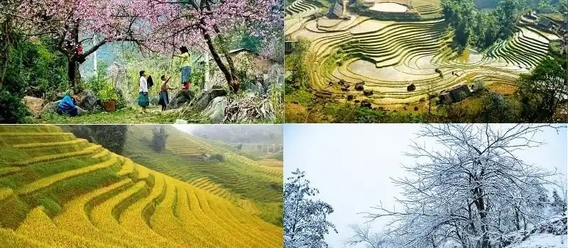 4 saisons du Vietnam: Quelle est la meilleure période pour visiter Vietnam?