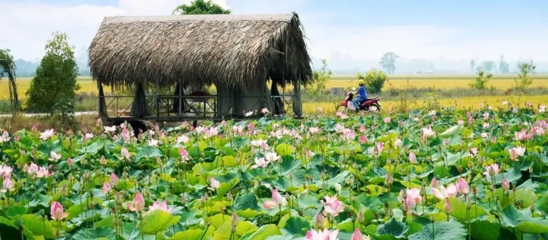 À la découverte des 13 provinces du Delta du Mékong au Vietnam (2)