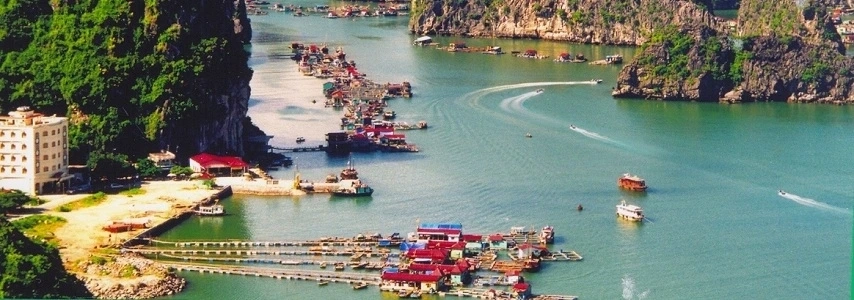 Voyage Cat Ba meilleure croisière agence de voyage francophone au vietnam