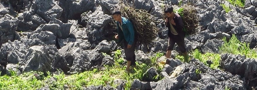 Champ de pierres antiques de Sapa agence de voyage au vietnam