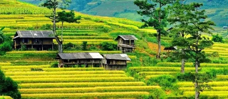 Chez habitant Mu Cang Chai