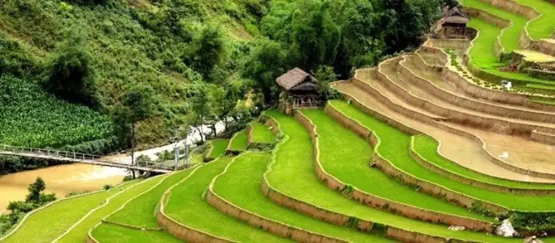 Chez habitant Nghia Lo