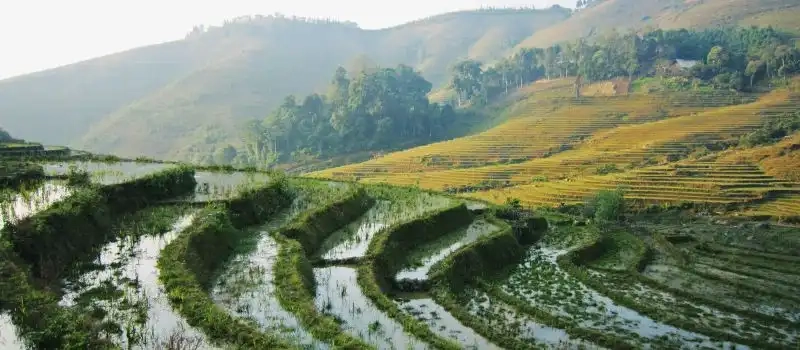 Choisir un guide francophone Vietnam: Votre voyage entre de bonnes mains