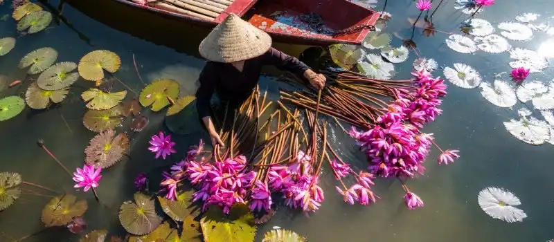 Circuit au Vietnam Laos: Sites incontournables au Vietnam