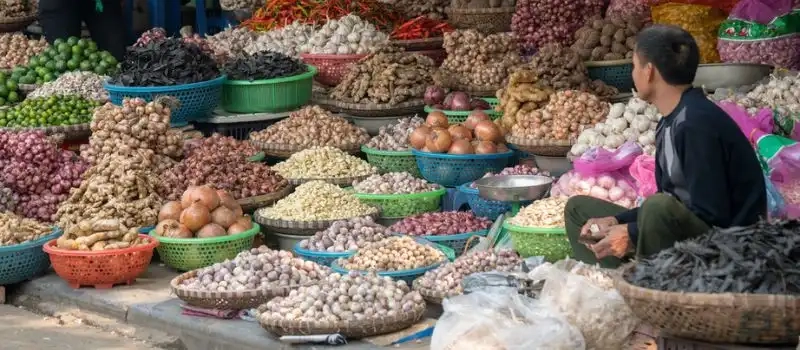 Circuit Gastronomie Vietnam avec notre agence de voyage au Vietnam