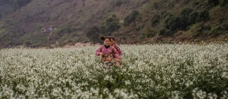 Circuit Nord Vietnam: Admiration de la paix et de la tranquillité Mai Chau