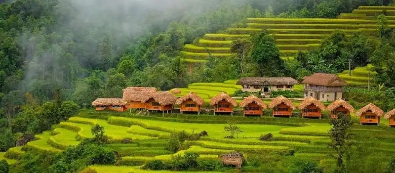 Circuit Nord Vietnam: Admiration de la saison de récolte du riz Ha Giang