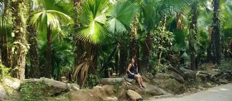 Tuyaux pour un voyage réussi au Vietnam