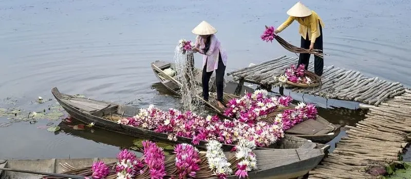 Croisiere au delta du Mekong pour découvrir les marchés flottants