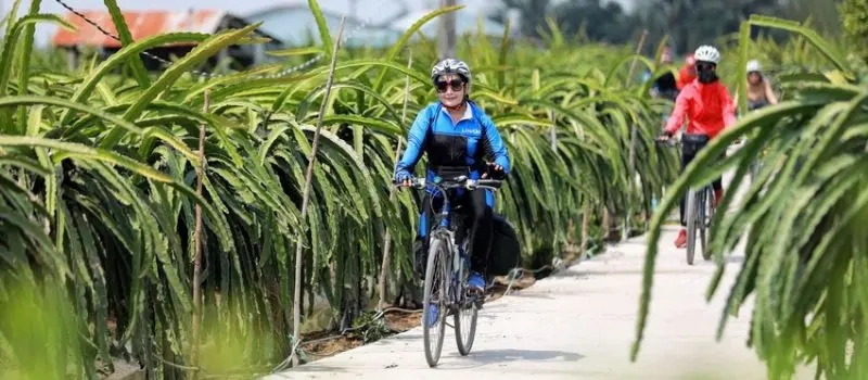 Croisiere au delta du Mekong pour visiter les villages traditionnels à vélo