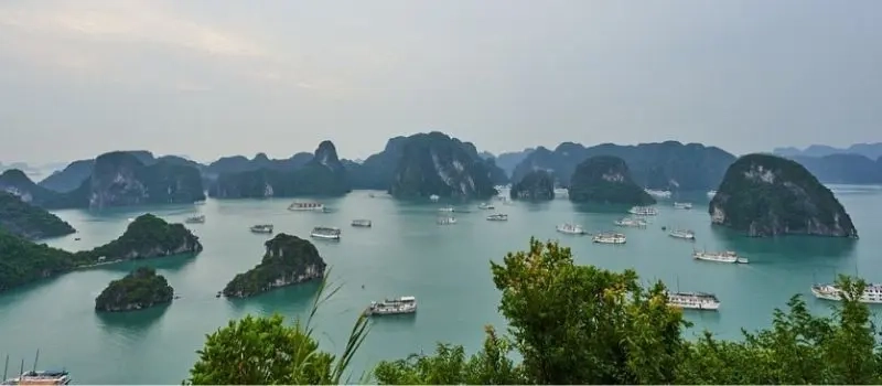 Croisiere en baie Halong pour des activités passionnantes et diversifiées