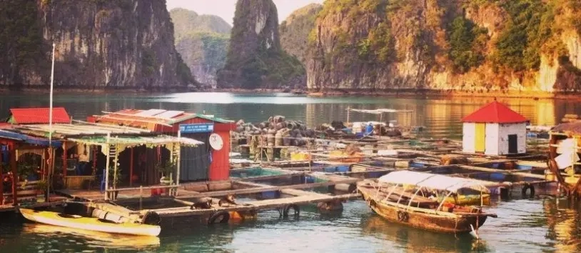 Croisiere en baie Halong pour visiter le village flottant de Cong Dam