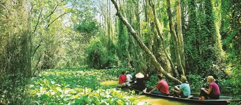 Découverte Dong Thap, Vietnam | Agence de voyage au Vietnam