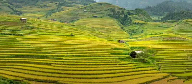 Découvrez les 12 lieux insolites au Nord Vietnam en compagnie de guide local