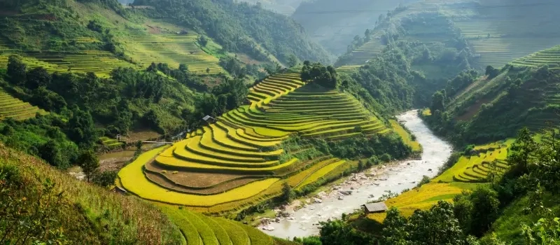 Découvrir le Vietnam à travers 5 régions authentiques