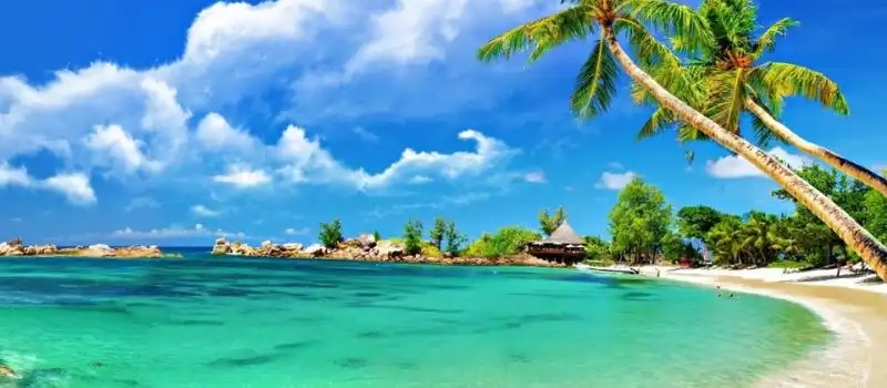 Découvrir l'île de Cham (Cu Lao Cham) – Voyage au Vietnam