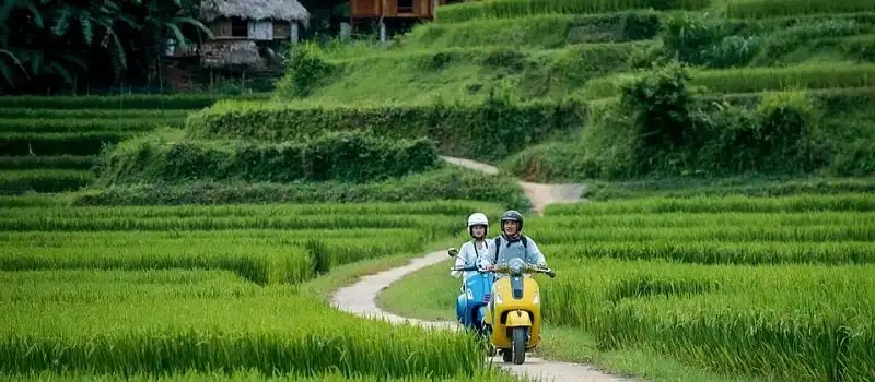 Dénichez les meilleures destination pour voyage au Vietnam en famille
