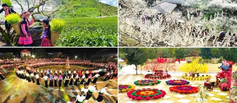 Destinations pour vivre le Têt vietnamien 2026