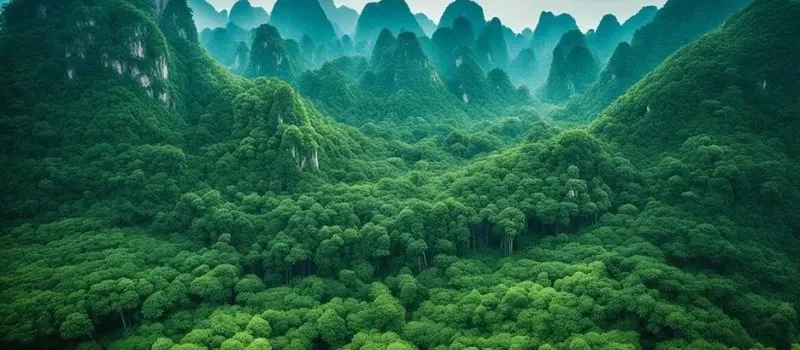 Ecosystèmes diversifiés et biodiversité unique | Circuit au Vietnam sur mesure