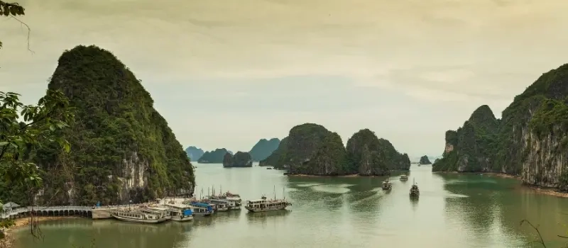Entre culture et nature : voyage à Hanoi et croisière baie Halong