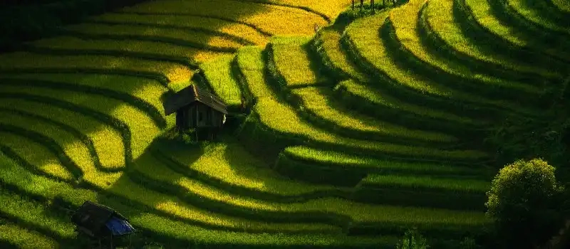 Exploration des Hauts Plateaux du Nord du Vietnam - Voyage au Vietnam