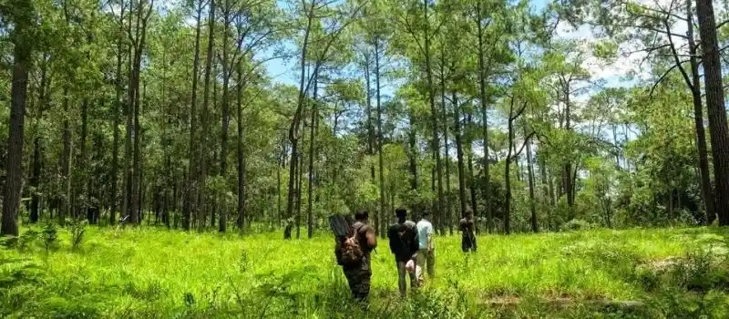Exploration des parcs nationaux et réserves naturelles au Cambodge