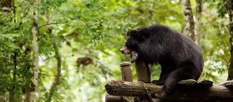 Exploration des parcs nationaux et réserves naturelles au Laos