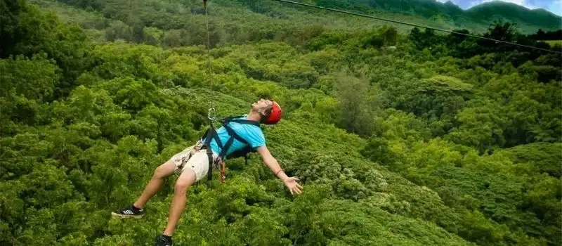 Exploration des parcs nationaux et réserves naturelles au Vietnam