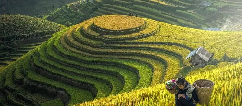 Faut-il voyager à Sapa en été? | Meilleur moment pour visiter Sapa