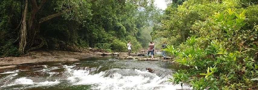 Forêt primitive de Khe Ro agence de voyage loale francophone au vietnam