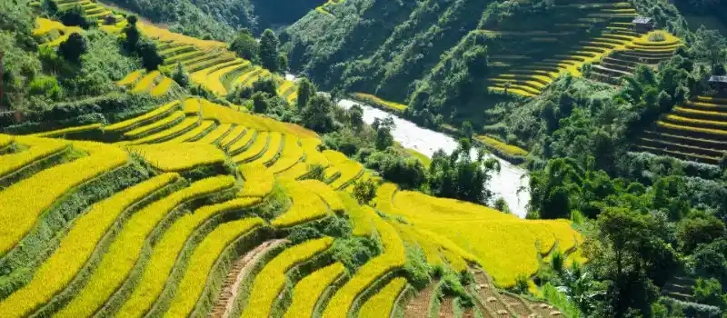 Guide complet de voyage à Sapa en 2025: Tous meilleurs conseils